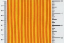 1050-8051