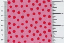 1050-8062