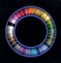 donut_1