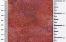 hf 3019-023