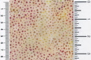 hf 3333-203