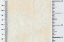 hf 3901-109