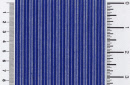 p1708-51