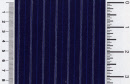 p2022-50