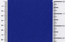 p9746-50